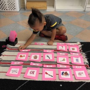 Discovery World Intercessory